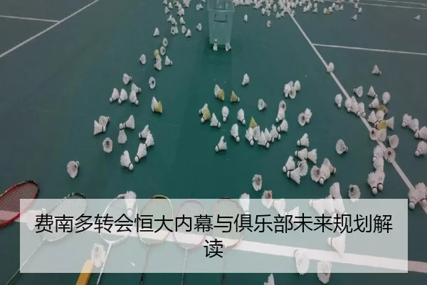 费南多转会恒大内幕与俱乐部未来规划解读